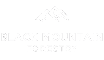 Black Mountain Forestry Ltd woodland creation UK 