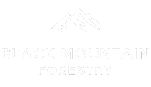 Black Mountain Forestry woodland creation logo. Creating and managing UK forests to offset carbon emissions.